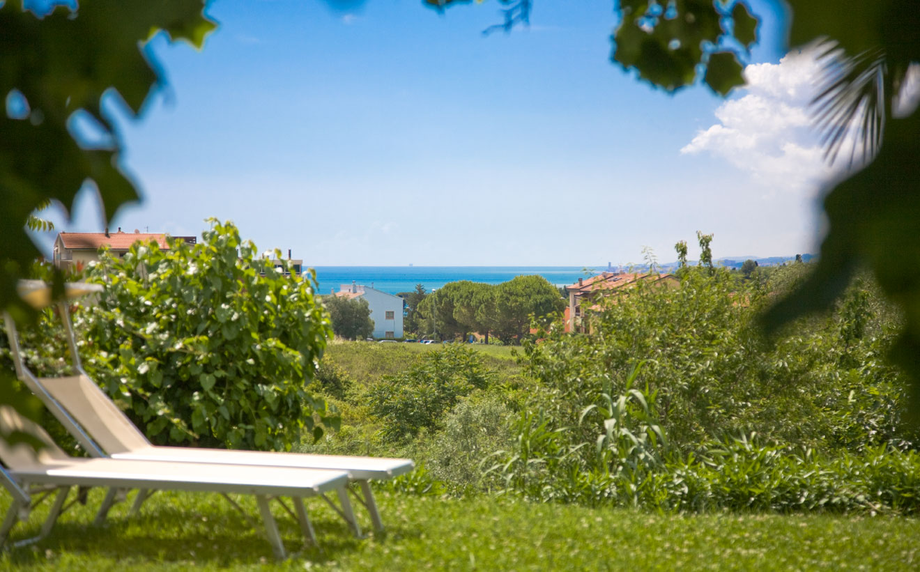 Fotografia del giardino dell'agricamping che ha una meravigliosa vista del mare Adriatico