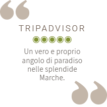 Recensione su tripadvisor con votazione di 5 su 5 